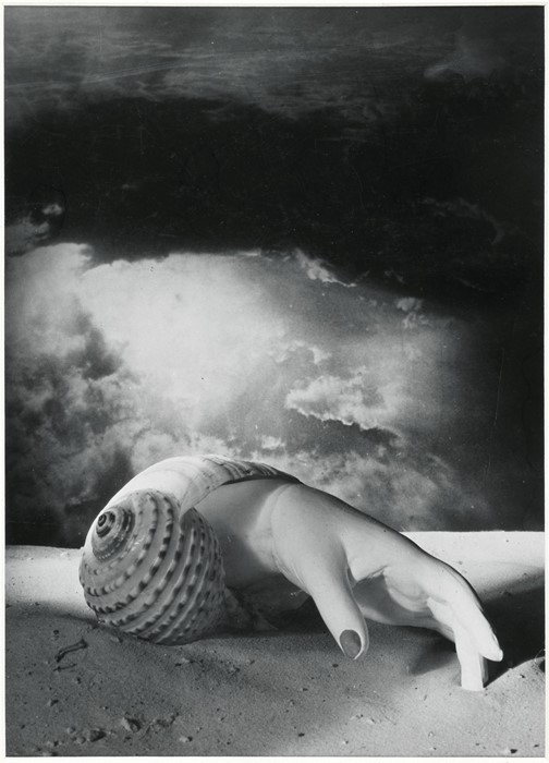 Dora Maar Untitled (Hand Shell)