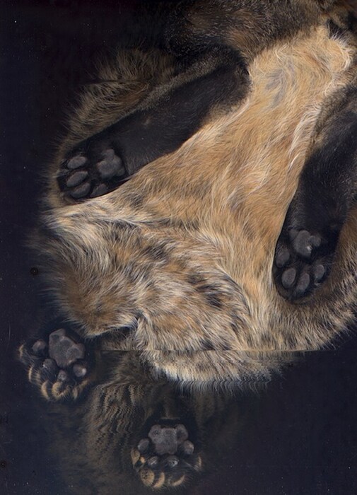 Gideon, from The Cat Scan