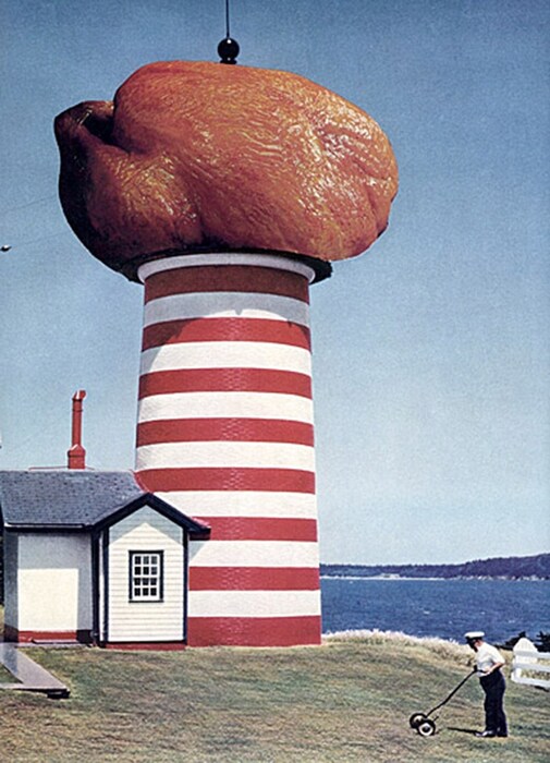 Meatscapes by Nicholas Lampert