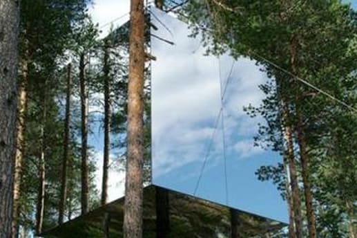 Mirrored Treehouse