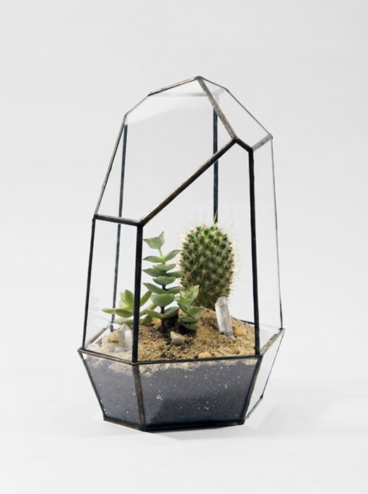 Quartz No.1 Terrarium