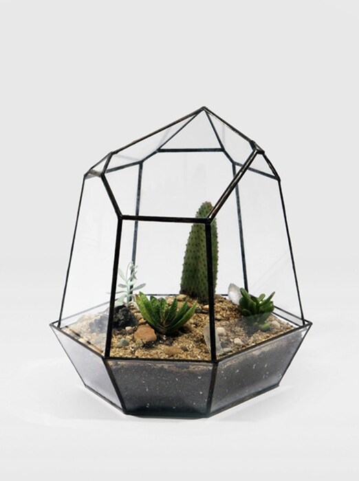 Quartz No.2 Terrarium