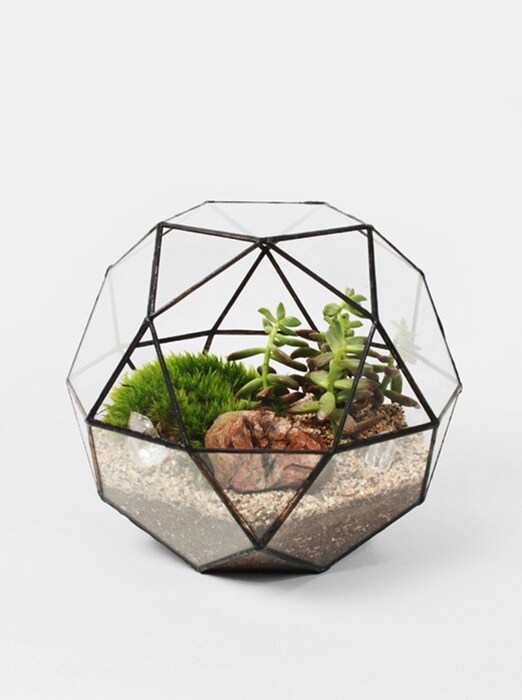 Icosidode Planter