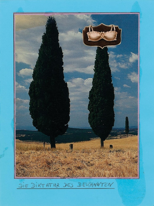 Werner-Büttner,-Dictatorship-of-the-known,-2013,-