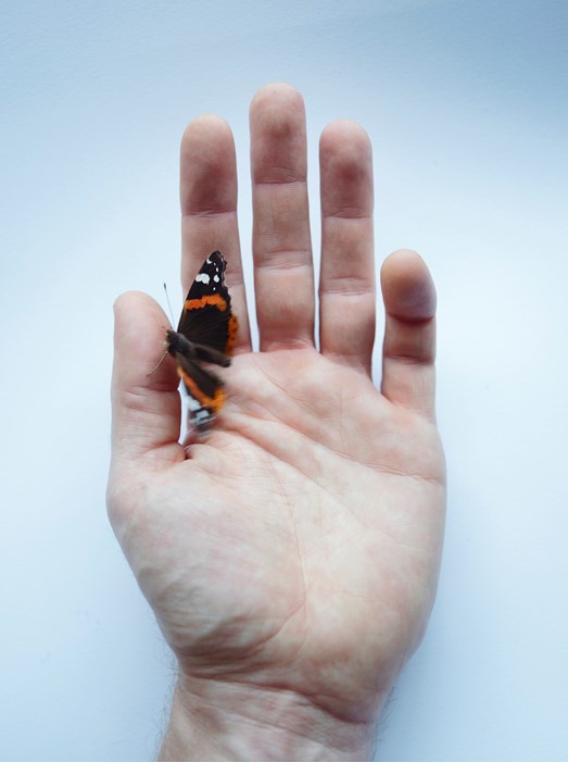 Photography by Dougal MacArthur