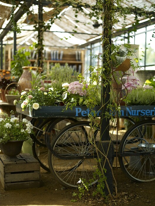 Petersham Nurseries Shop Trolley