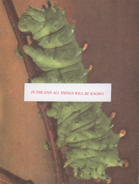 IN THE END ALL THINGS WILL BE KNOWN