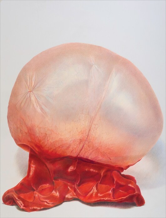 Watermelon, 2012