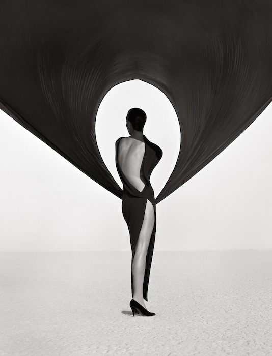 Versace Dress Back View high res