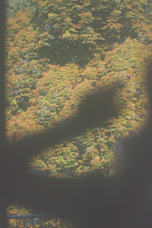 Shadow at Antonio Marras