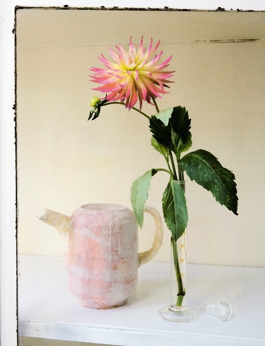 Still Life by Saskia De Valk of Vlinder and Vogel