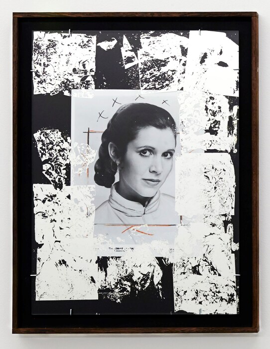 A Picture of Carrie Fisher 2015 C Danielle Van Ark