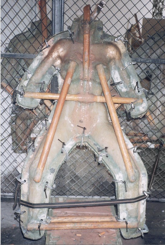 32 - REAL DOLL INCUBATION 