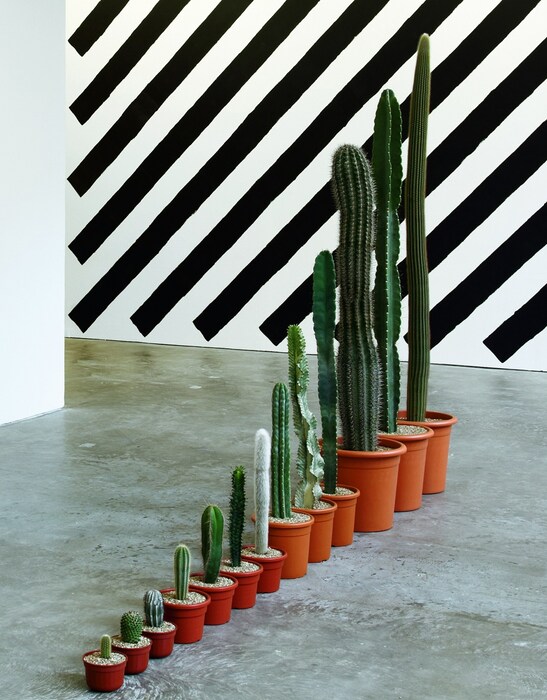 Work no. 960 by Martin Creed, 2008