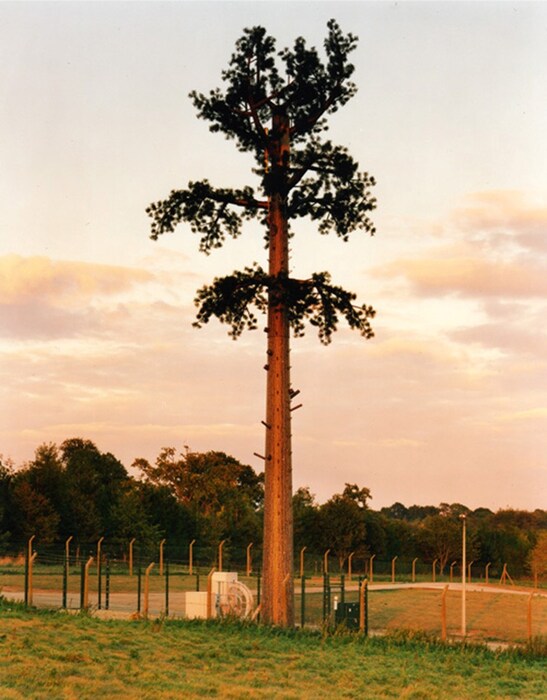 Robert Voit&#39;s New Trees #8