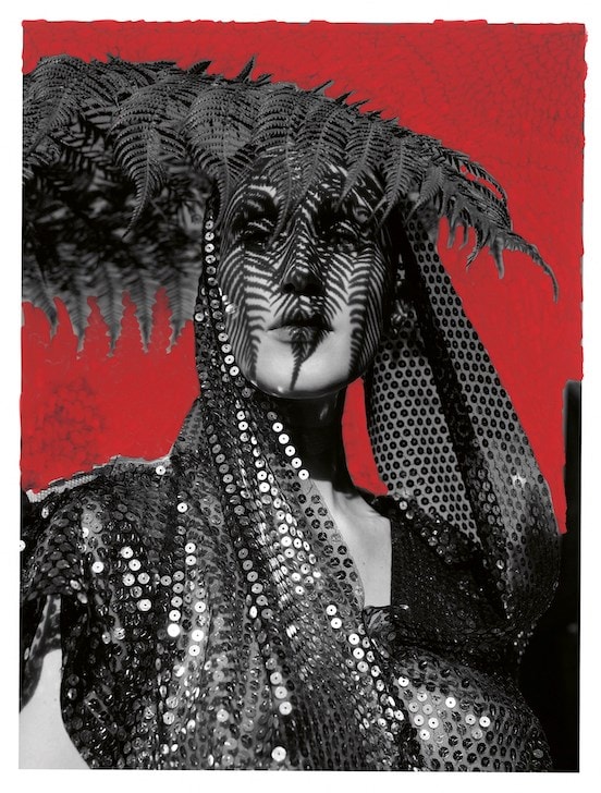 Anna Cleveland for AnOther Magazine A/W25