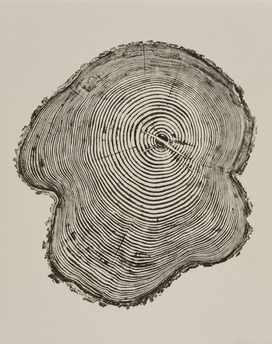 Pine II, 2011