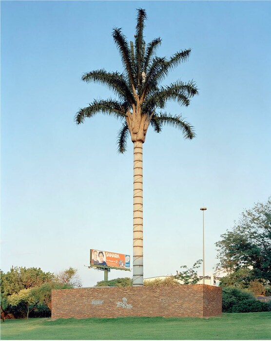 Robert Voit, Wendywood Alexandra