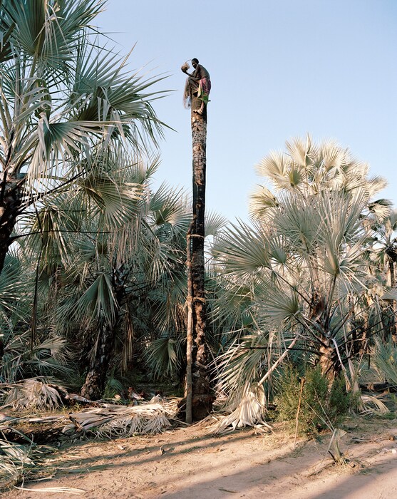 Uriuavim Kapika Kunene Region, Namibia, from the s