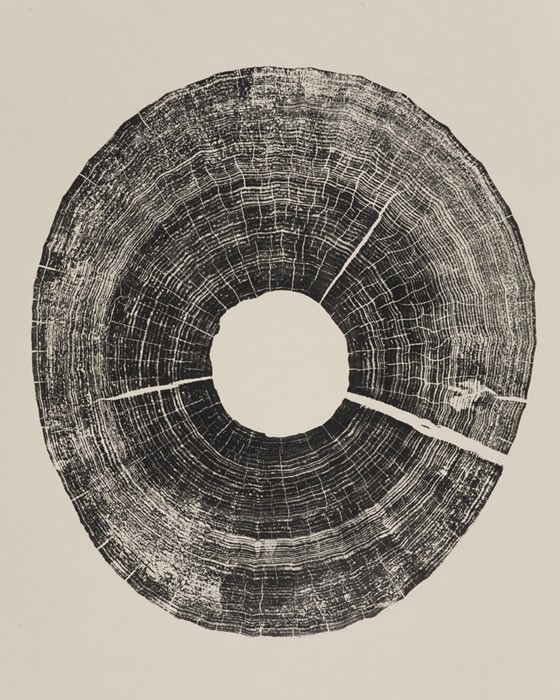 Cedar Pole, 2011