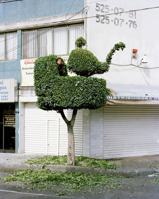 Miradors, 2010