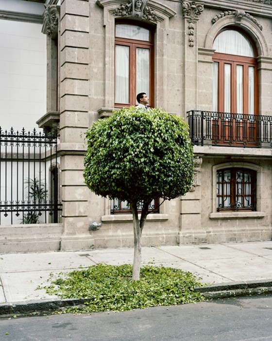 Miradors, 2010
