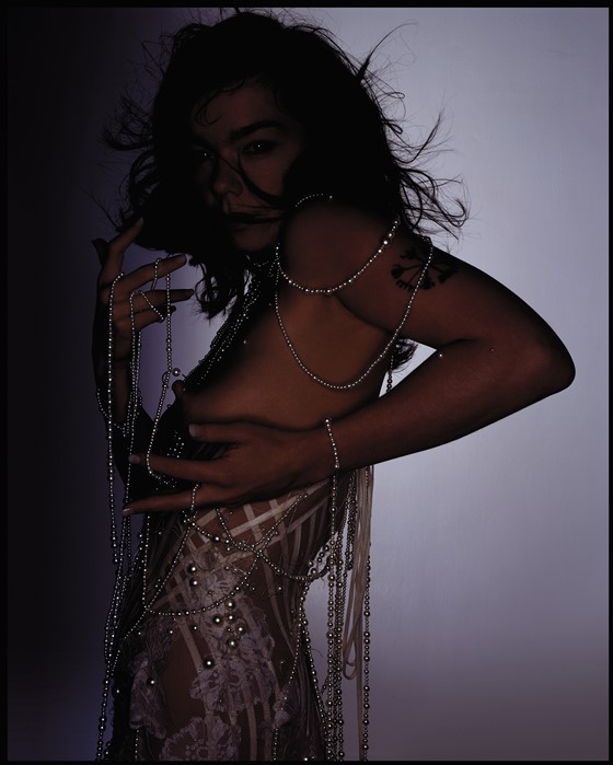 Bjork wearing the Alexander McQueen