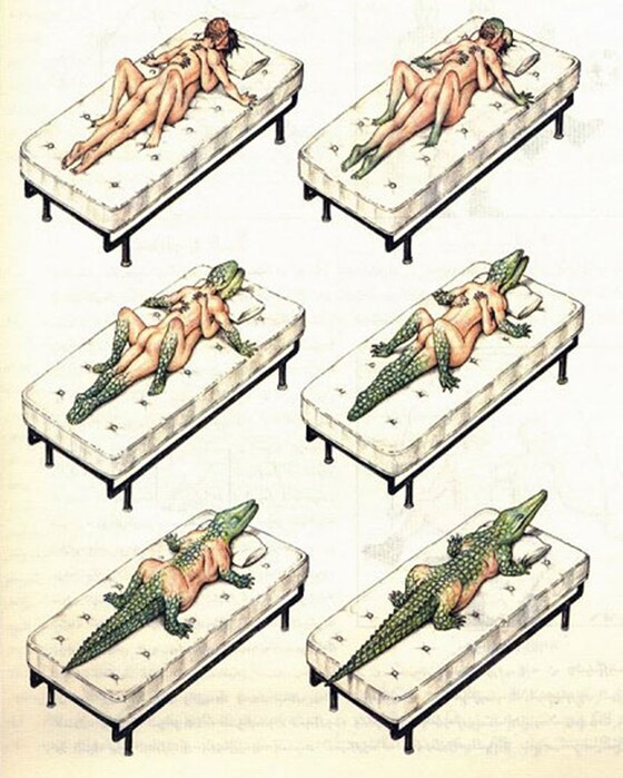 Codex Seraphinianus 
