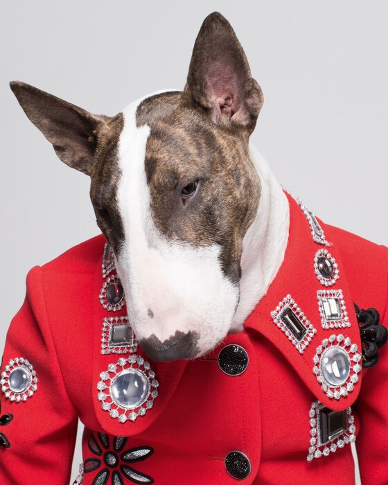 NevilleJacobs_p002