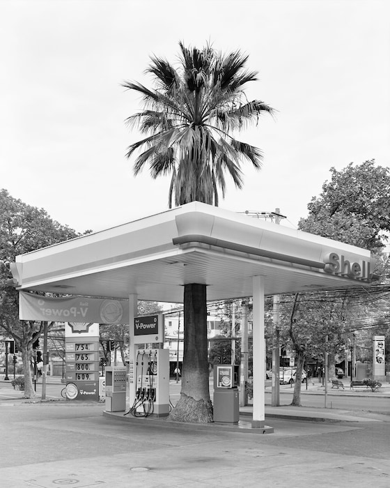 Sebastian Mejia, Series Quasi Oasis 17 (Avenida Si