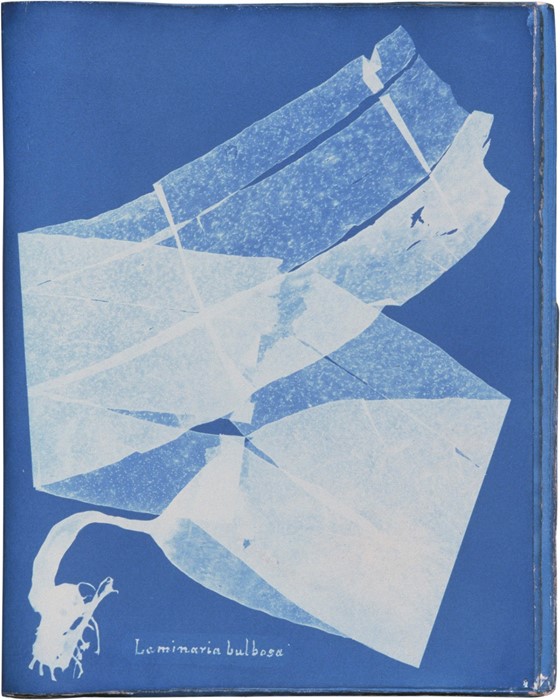Anna Atkins