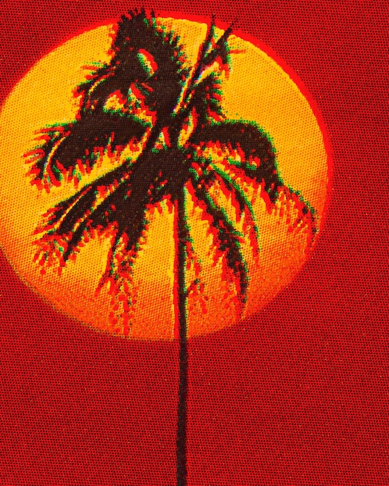 Summer Photo Books