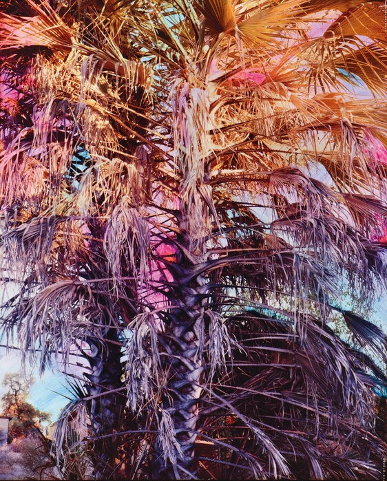 Exit-7-Palm_B1