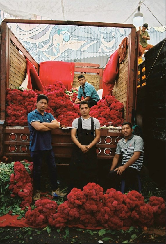 Flechazo by Pia Riverola