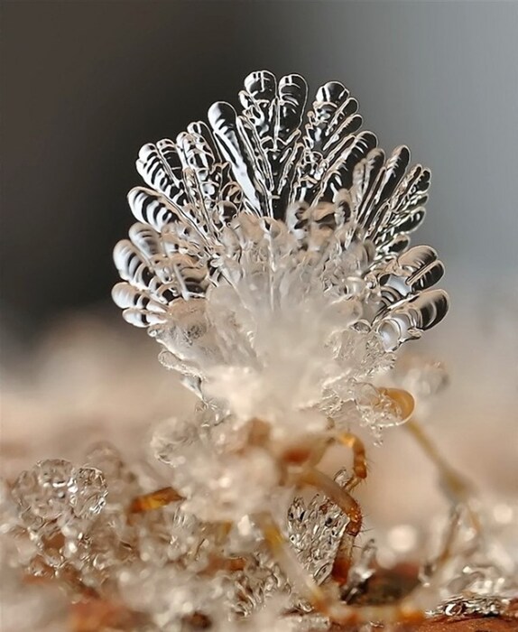 Photography by Andrew Osokin
