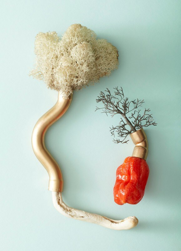 From the series Shades of Mutation by Andere Monjo
