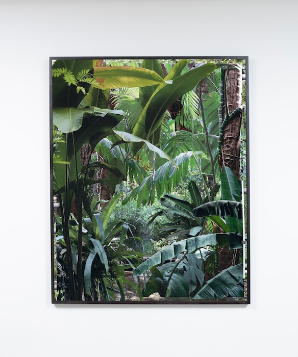 Frieze London 2021