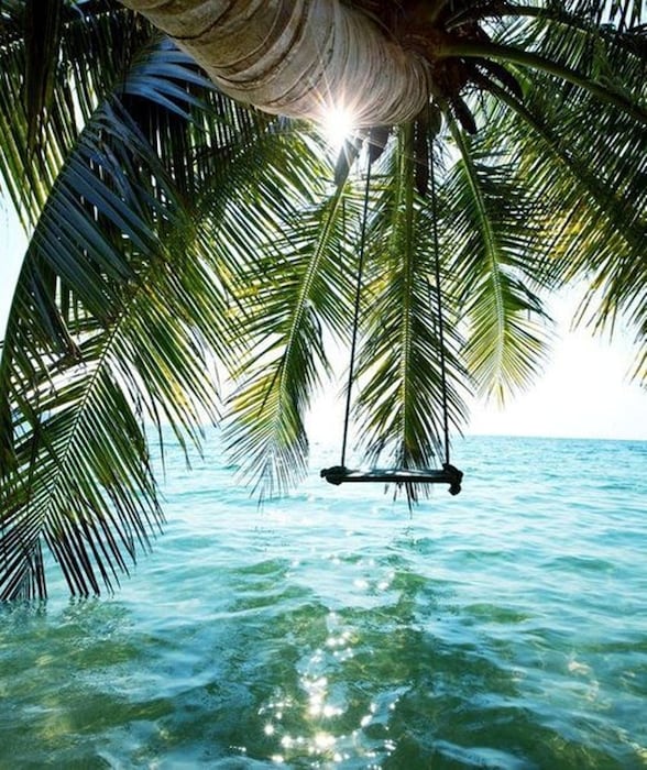 Tropical Swing