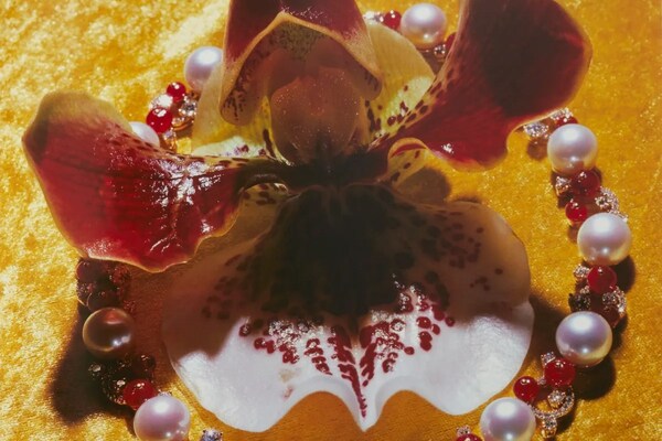 YAMI NO HANA ARAKI's jewelry and flower