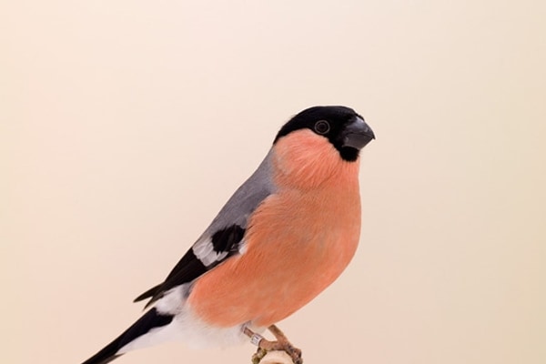 Luke Stephenson | AnOther