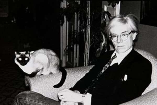 Andy Warhol's Cats and Dogs | AnOther