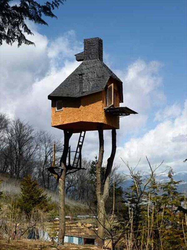 Love nest