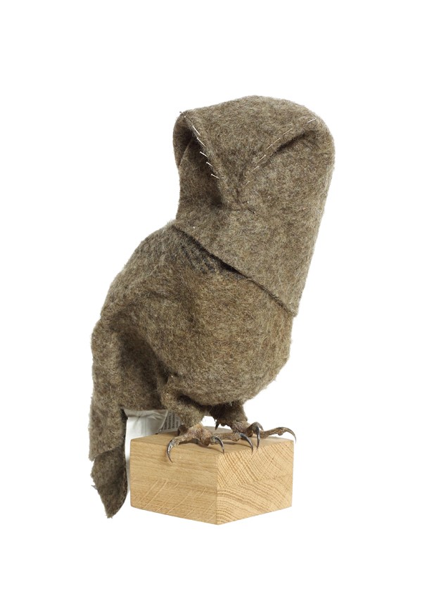 Tawny Owl, 2009
