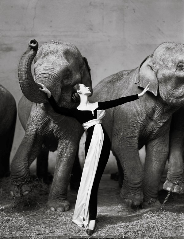 Dovima With Elephants, 1965, Richard Avedon