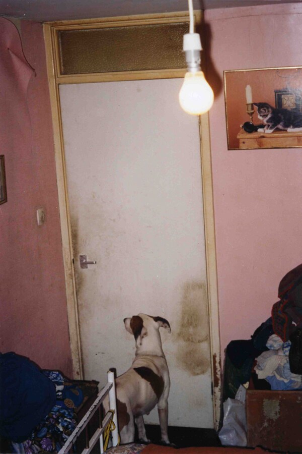 Richard Billingham Untitled 1995