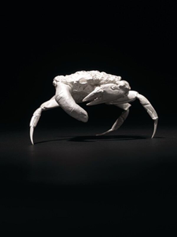 Finger Crab - Dorothy Cross