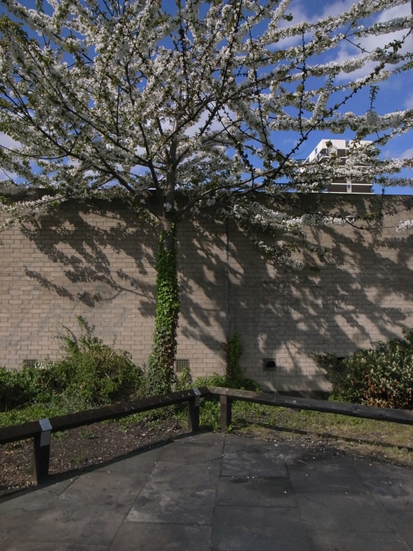 Laura Bradley, AnOther&#39;s Commissioning Editor