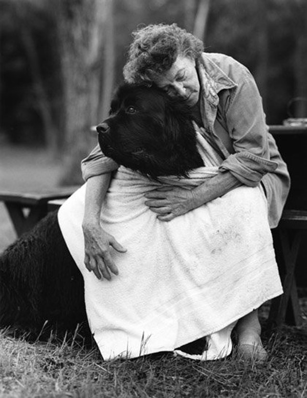 Bruce Weber's Golden Retrievers | AnOther