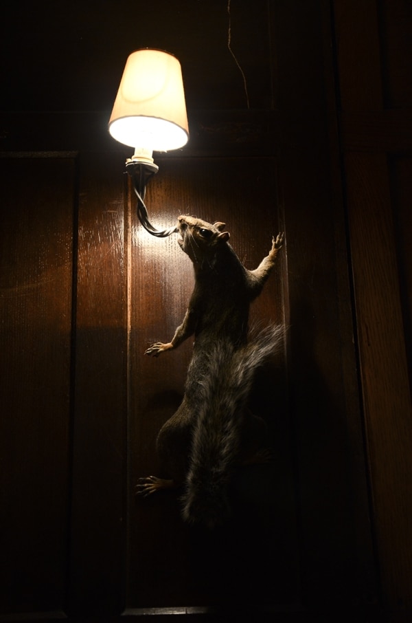 Taxidermy light fittings at The Riding House Caf&#233;