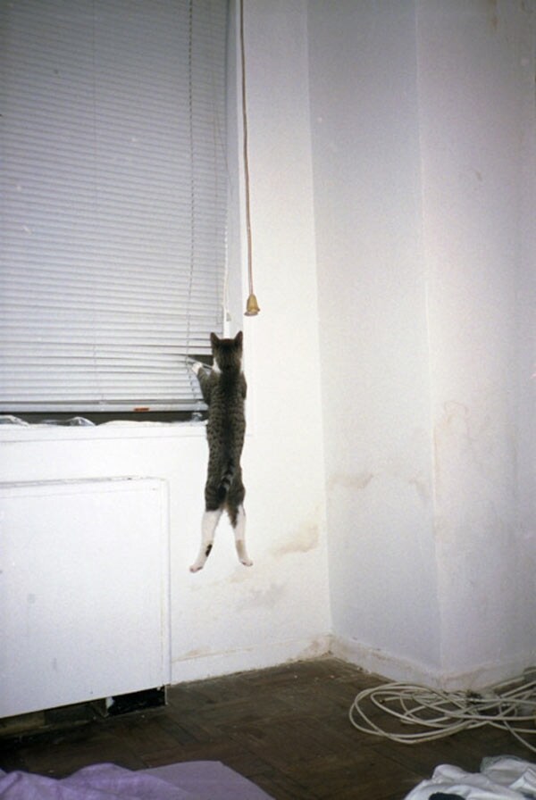 Doris hangs on (1), 2007